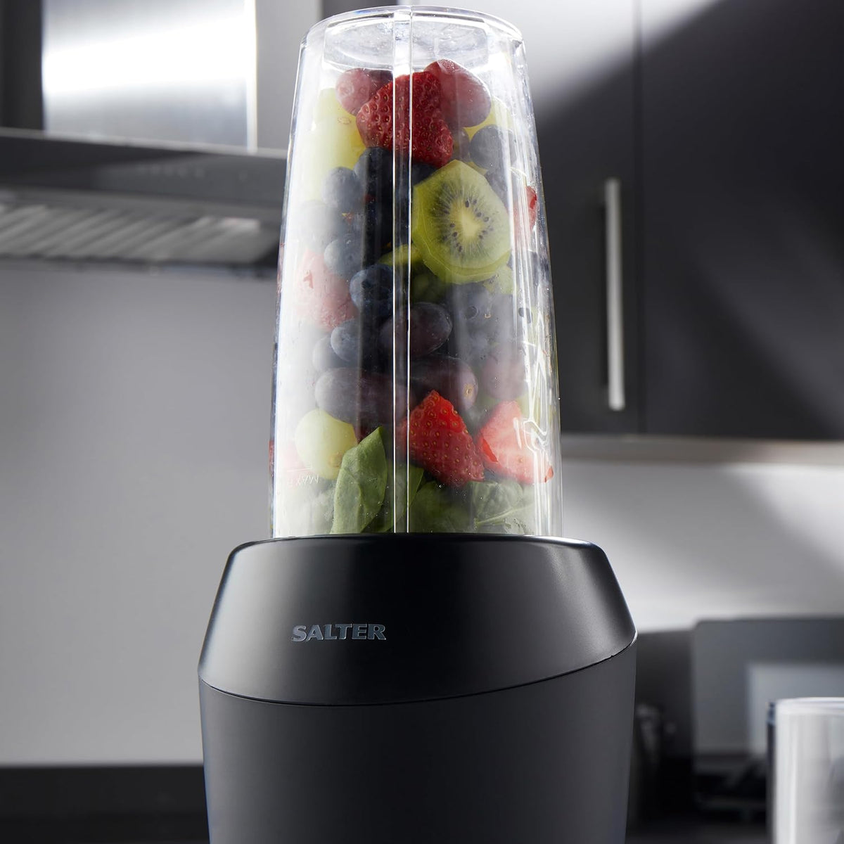 SALTER : NutriPro 1000 Blender