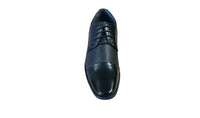 MARCOZZI : Amsterdam Formal Shoe