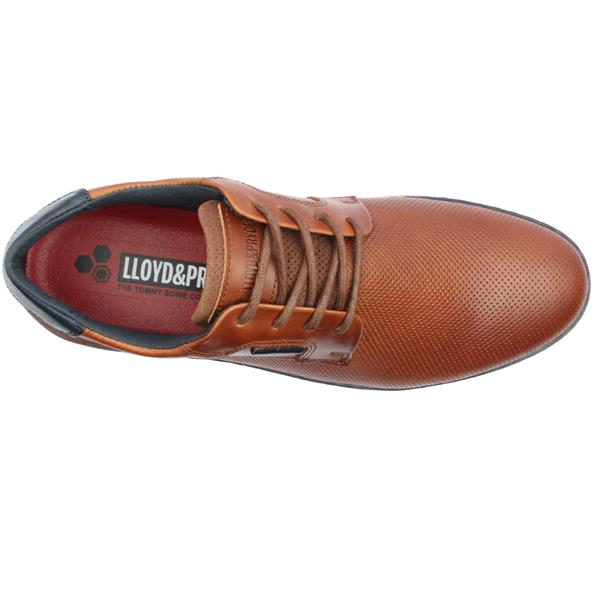 LLOYD & PRYCE : By Tommy Bowe Lavanini Shoes - Tan