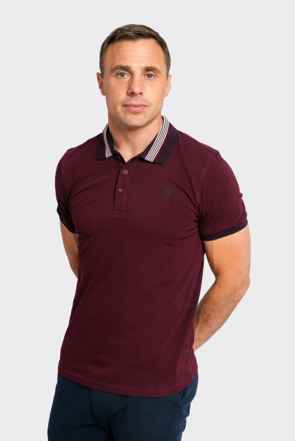 XV KINGS : Balmain Polo - Plum Mix