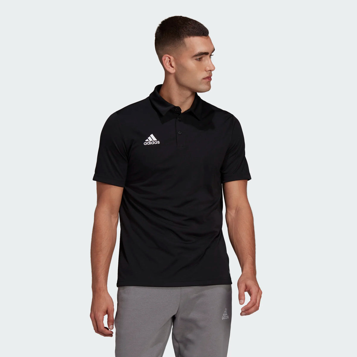 ADIDAS : Entrada 22 Polo Shirt