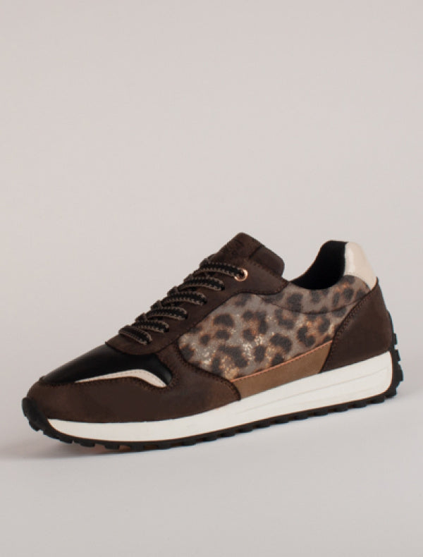 LLOYD & PRYCE : By Tommy Bowe Women's Dolf Trainer - Brown