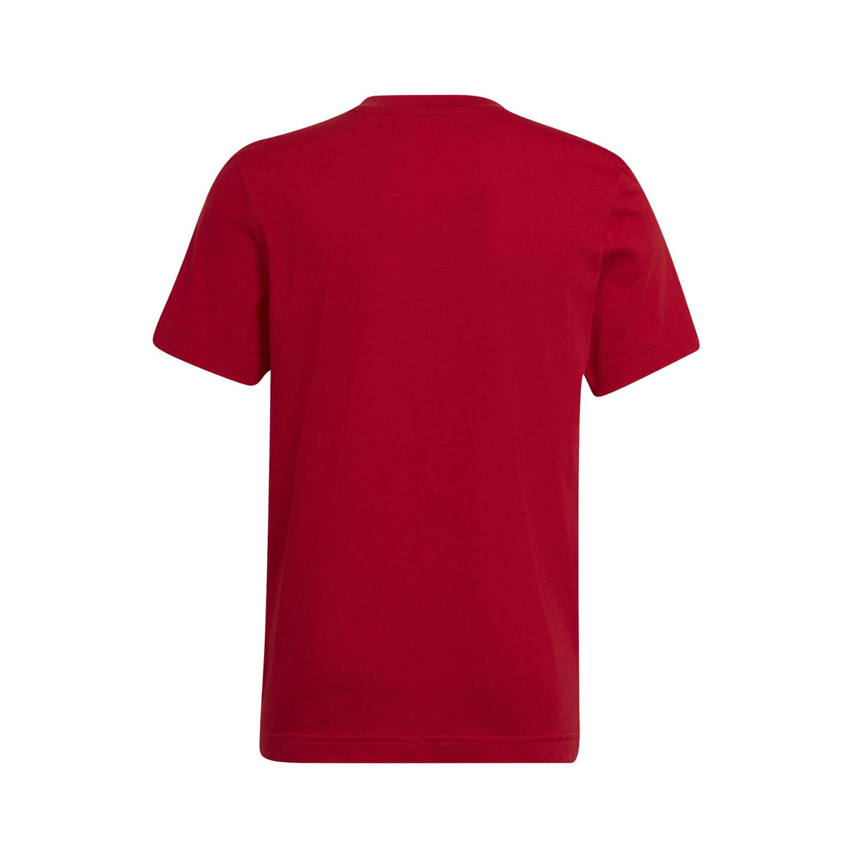 ADIDAS : Entrada 22 T-Shirt