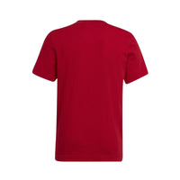 ADIDAS : Entrada 22 T-Shirt