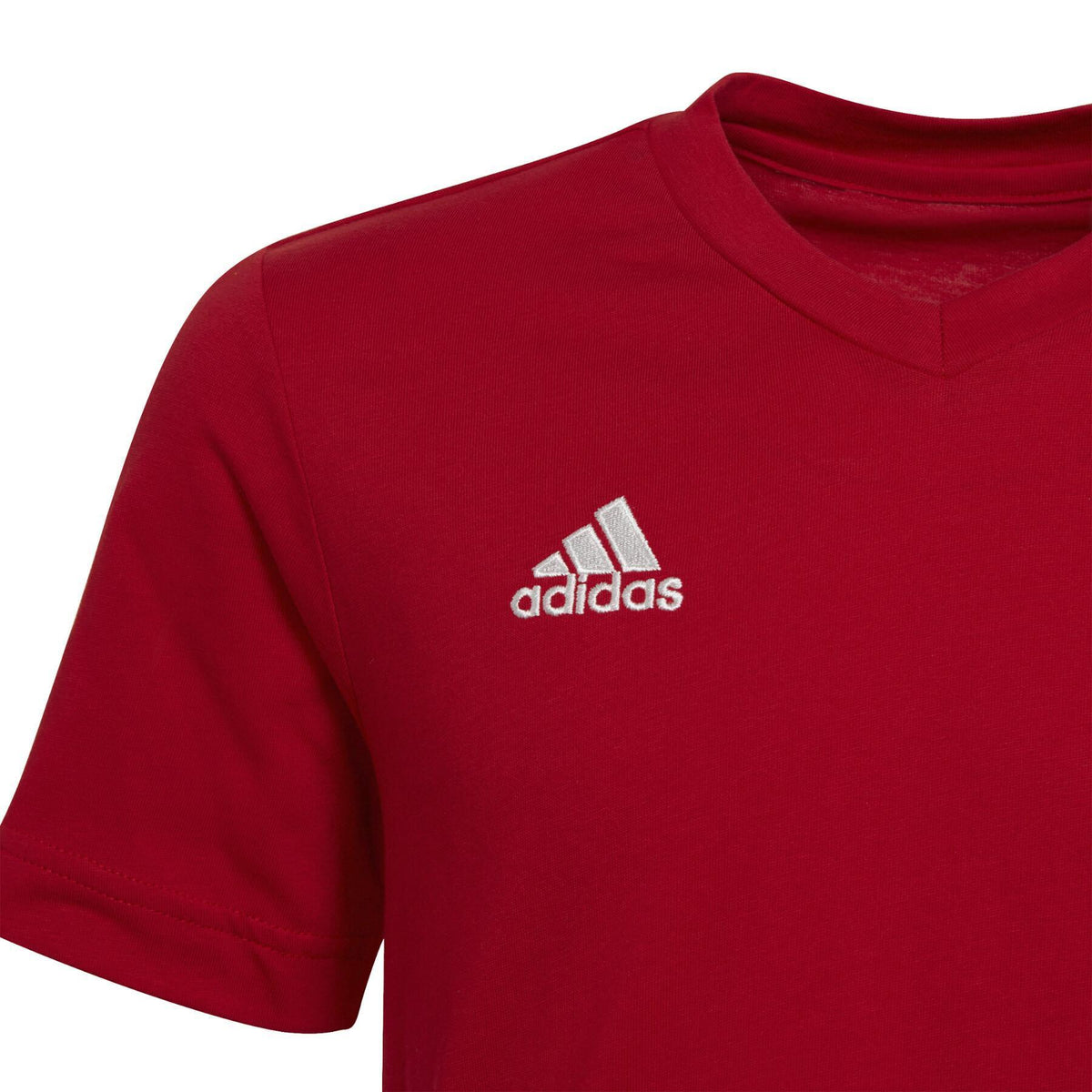 ADIDAS : Entrada 22 T-Shirt