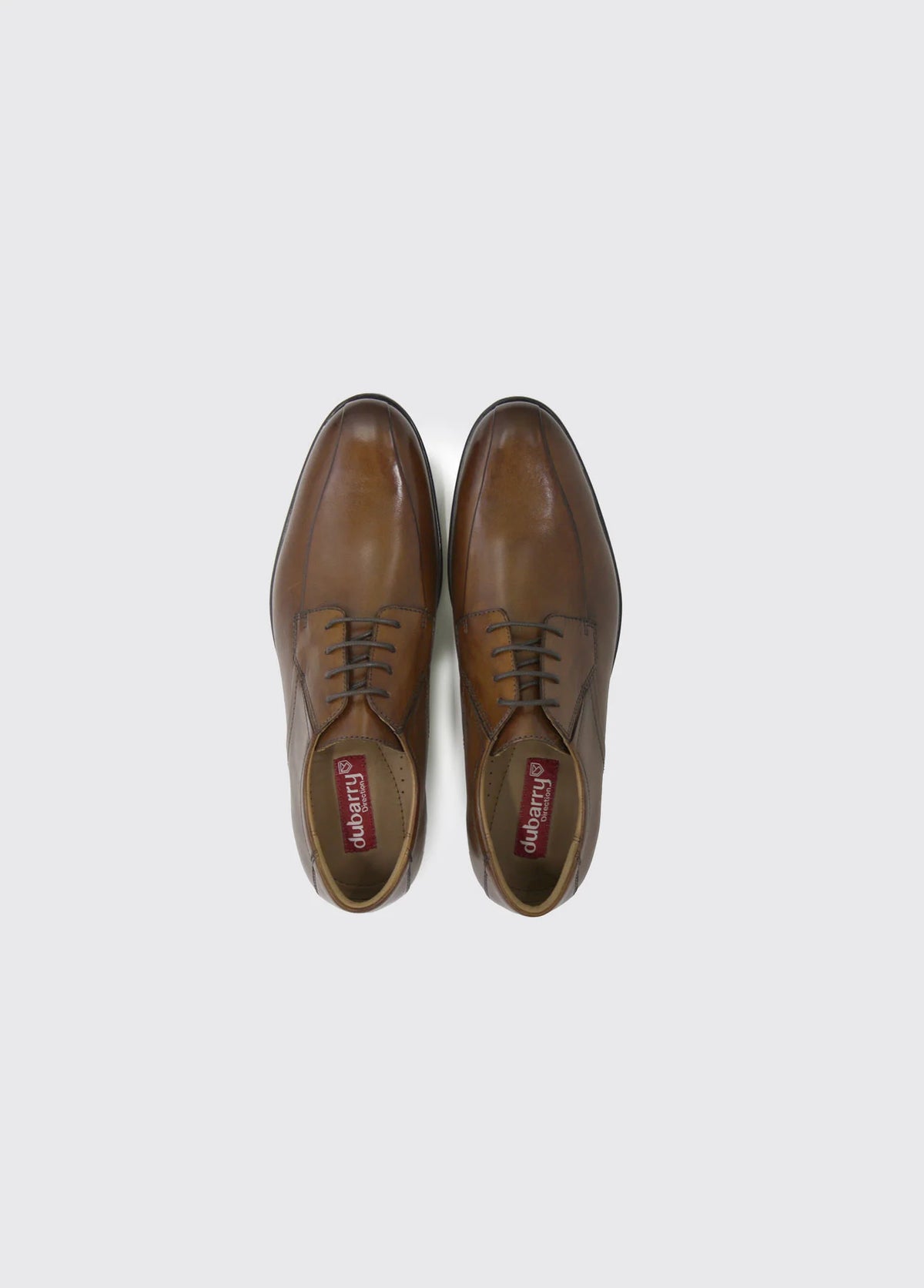 DUBARRY : Derby Formal Lace Up Men's Shoe - Brown