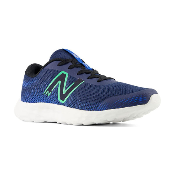 NEW BALANCE : 520v8 Boy's Running Shoe