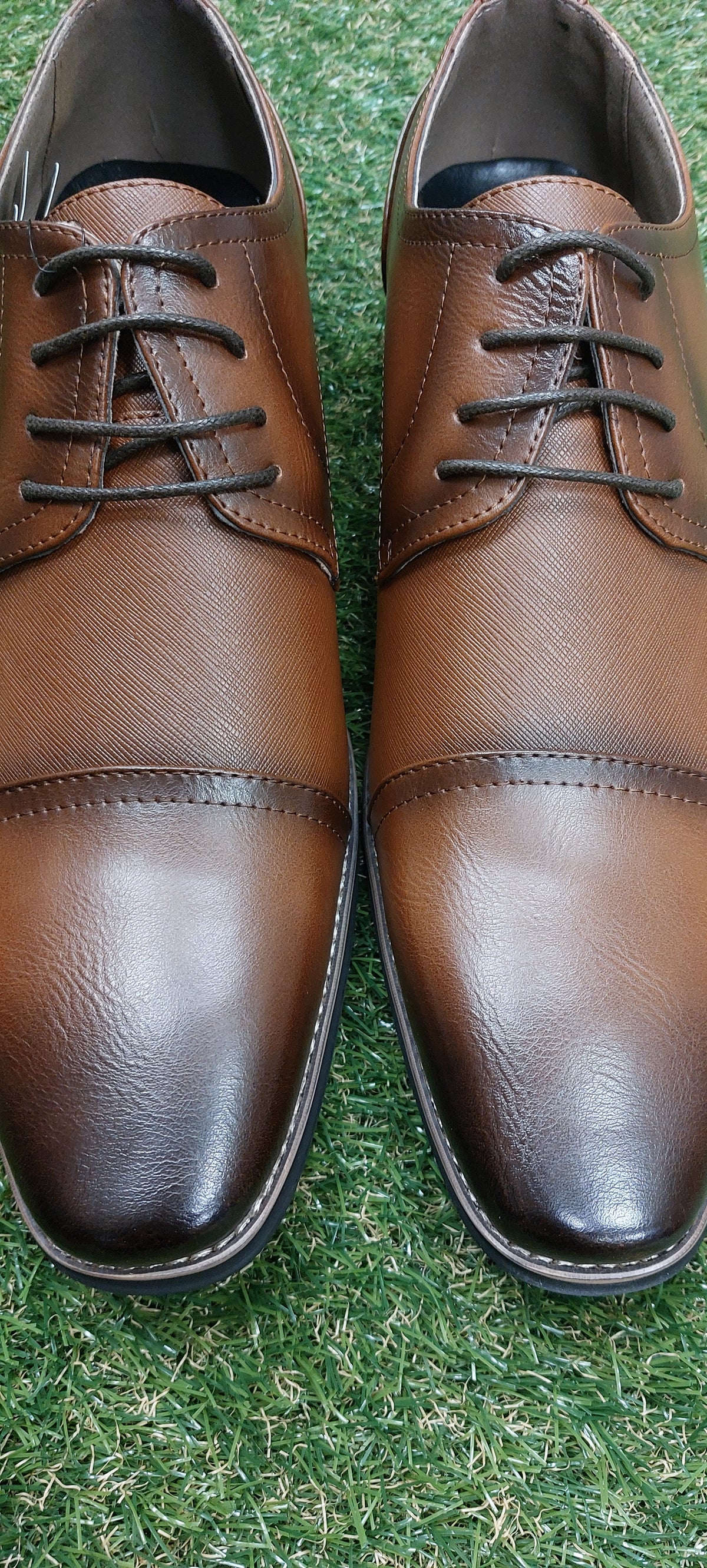 MARCOZZI : Amsterdam Formal Shoe